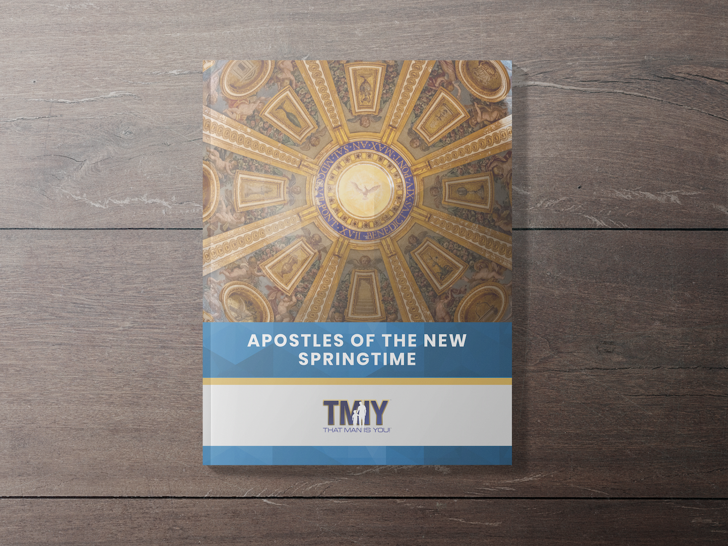 That Man is You! Participant Book - Apostles of the New Springtime