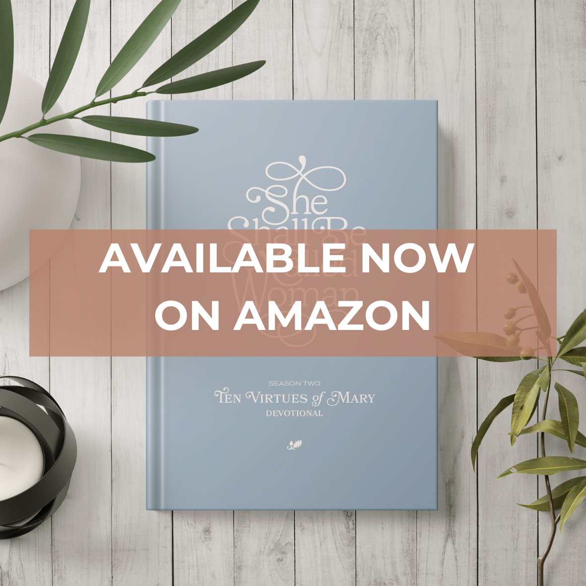 Ten Virtues of Mary - Devotional: Also available on Amazon