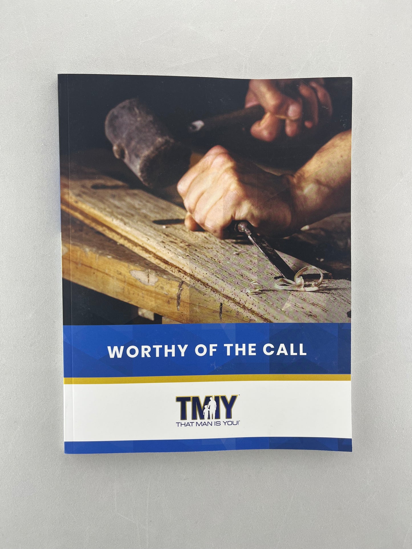 That Man is You! Participant Book - Worthy of the Call