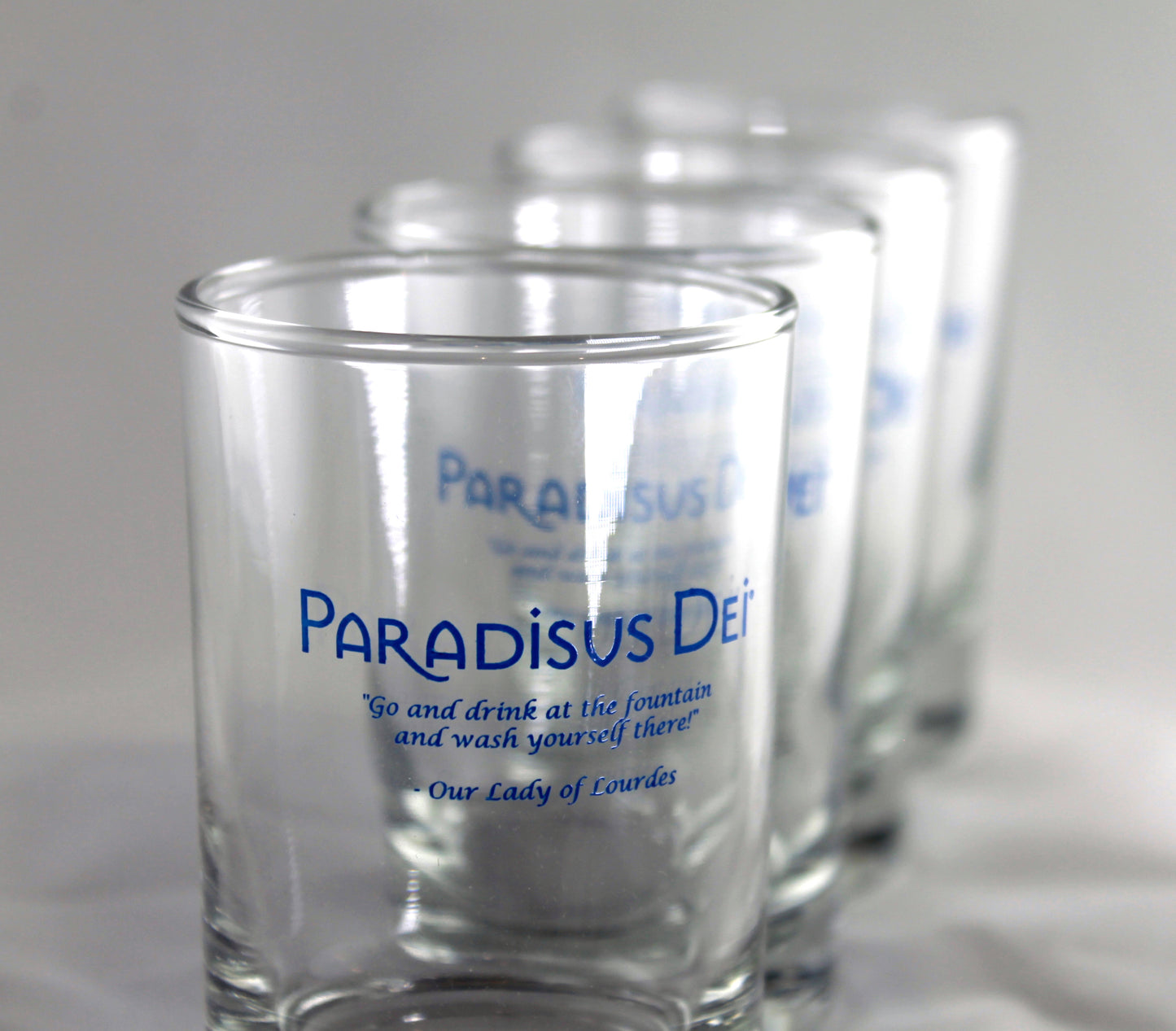Lourdes Experience Drinking Glasses - Set of 5