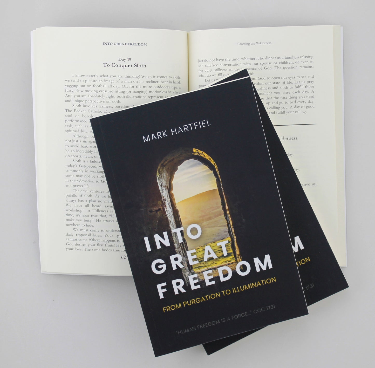 Into Great Freedom: From Purgation to Illumination